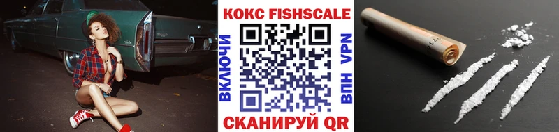 Купить закладки  Сальск  COCAIN Эквадор 